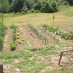 Casavabene Pensión