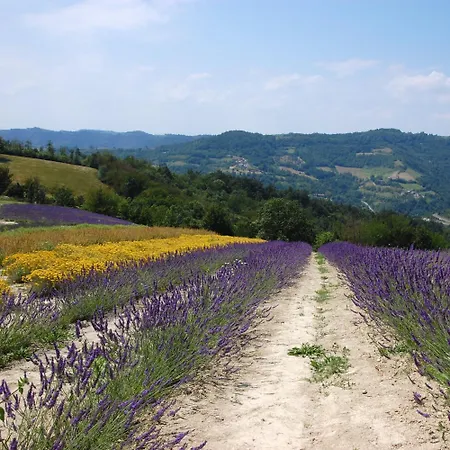 Casavabene - For Hikers, Bikers And Slow Travelers 3* Murazzano (Cuneo)