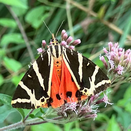 Casavabene Guest house